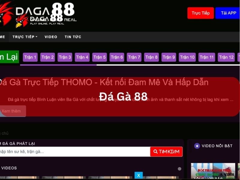 Tang đá gà uy tín Đá Gà 88