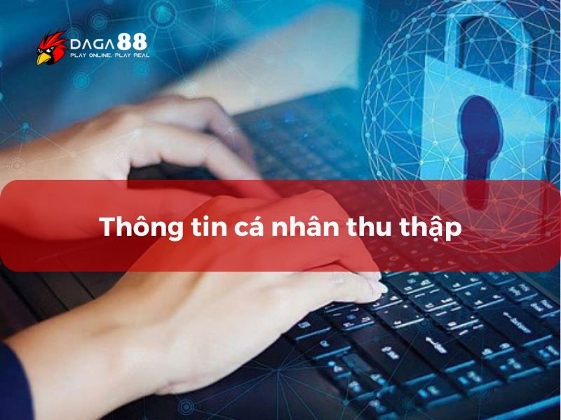 Chính sách bảo mật đề cập thông tin thu thập từ người dùng